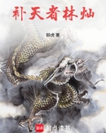 补天者林灿